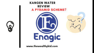 Is Enagic a pyramid scheme - Summary