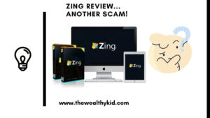 Zing software review summary