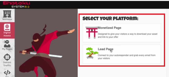 This is the digital asset section where you have to choose either a monetized page or a lead page